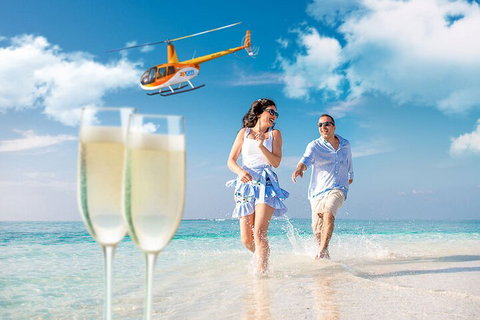 Private Coral Cay Bubbles Tour - Accommodation Main Beach 4