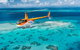 Private Coral Cay Bubbles Tour - thumb 5
