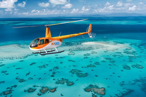 Private Coral Cay Bubbles Tour - Accommodation Main Beach 5