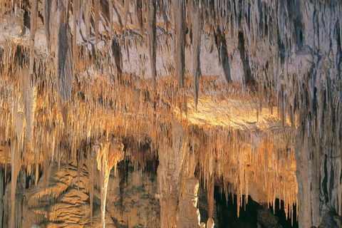 Margaret River, Caves, Wine And Cape Leeuwin Lighthouse Tour From Perth - Accommodation Main Beach 3