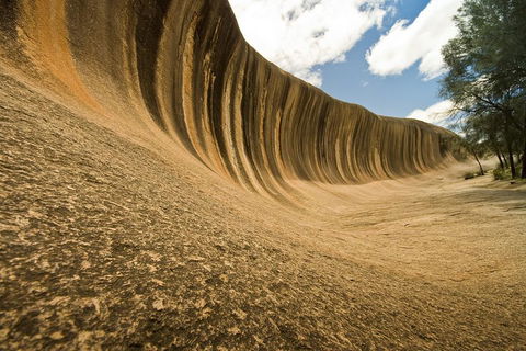 Wave Rock, York, Wildflowers, And Aboriginal Cultural Day Tour From Perth - Accommodation Main Beach 0