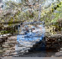 Small-Group Buggy Tour at Little Sahara with Guide - Accommodation Main Beach