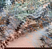 West MacDonnell Ranges Half-Day Private Charter Guided Tour - Accommodation Main Beach