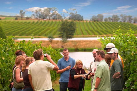 Yarra Valley Wine And Winery Tour From Melbourne - Accommodation Main Beach 0