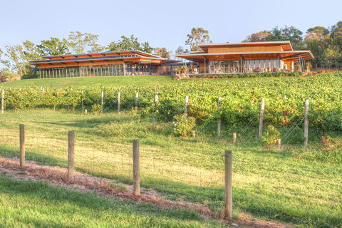 Yarra Valley Wine And Winery Tour From Melbourne - Accommodation Main Beach 1