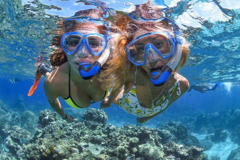 Great Barrier Reef Snorkeling And Diving Cruise From Cairns - Accommodation Main Beach 3