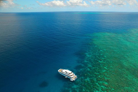 Great Barrier Reef Snorkeling And Diving Cruise From Cairns - Accommodation Main Beach 4
