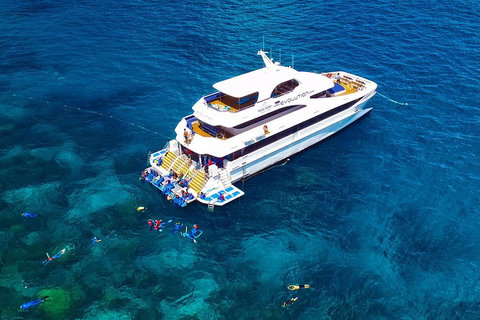 Great Barrier Reef Snorkeling And Diving Cruise From Cairns - Accommodation Main Beach 5