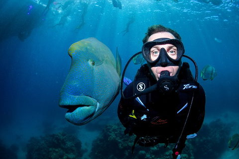 Full Day Reef Cruise Including 10 Minute Heli Scenic Flight: Get High Package - Accommodation Main Beach 1