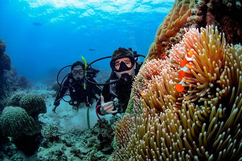 Full Day Reef Cruise Including 10 Minute Heli Scenic Flight: Get High Package - Accommodation Main Beach 5