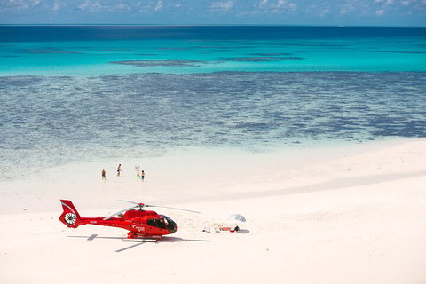 Private Helicopter Tour: Reef Island Snorkeling And Gourmet Picnic Lunch - Accommodation Main Beach 2