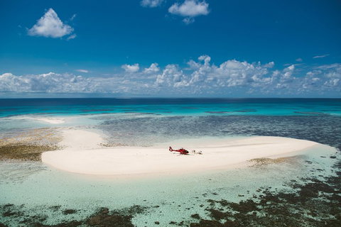 Private Helicopter Tour: Reef Island Snorkeling And Gourmet Picnic Lunch - Accommodation Main Beach 4