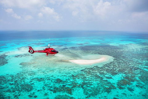 Private Helicopter Tour: Reef Island Snorkeling And Gourmet Picnic Lunch - Accommodation Main Beach 5