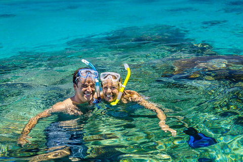 Fly To Green Island - Cruise Return - Accommodation Main Beach 2