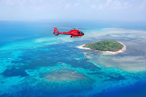 Fly To Green Island - Cruise Return - Accommodation Main Beach 3