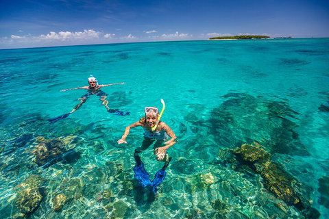 Fly To Green Island - Cruise Return - Accommodation Main Beach 4