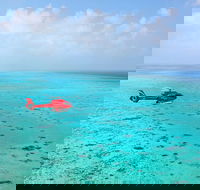Port Douglas Scenic Flights - Accommodation Main Beach