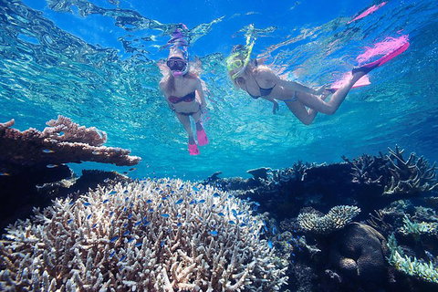 Cruise Out And Cruise Return, Plus 10 Minute Scenic Flight - Accommodation Main Beach 5