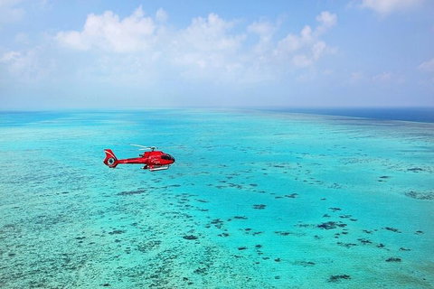 Great Barrier Reef 30-Minute Scenic Helicopter Tour From Cairns - Accommodation Main Beach 2