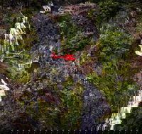 Ultimate Great Barrier Reef and Rainforest 45-minute Helicopter Tour