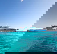 Fremantle to Rottnest Island Roundtrip Ferry Ticket - Accommodation Main Beach