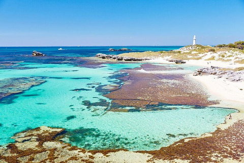 Rottnest Island All-Inclusive Grand Island Tour From Fremantle - Accommodation Main Beach 1