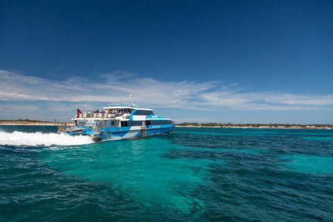 Rottnest Island All-Inclusive Grand Island Tour From Fremantle - Accommodation Main Beach 3