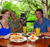 Breakfast with the Koalas at Hartley's Crocodile Park from Cairns or Palm Cove - Accommodation Main Beach