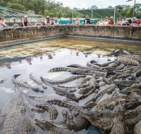 Hartley's Crocodile Adventures Day Trip from Cairns - Accommodation Main Beach