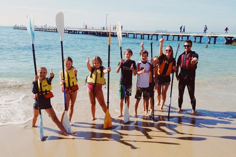 Mornington Peninsula Kayak Coastline Tour Of Dolphin Sanctuary - Accommodation Main Beach 3