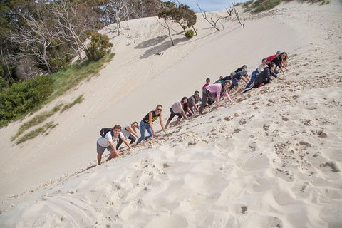 6-Day Tasmanian Explorer Adventure Tour From Hobart - Accommodation Main Beach 2