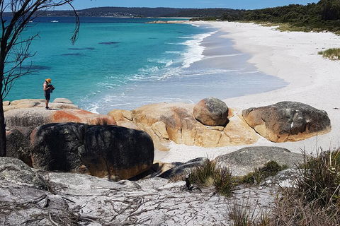 2-Day Tas East Coast Escape Tour Including Bay Of Fires, Wineglass Bay & Devils - Accommodation Main Beach 4