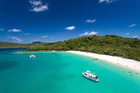 Whitehaven Beach And Hill Inlet | Awesome Beach BBQ | Family Friendly - Accommodation Main Beach 3