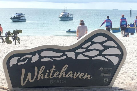 Whitehaven Beach And Hill Inlet | Awesome Beach BBQ | Family Friendly - Accommodation Main Beach 5