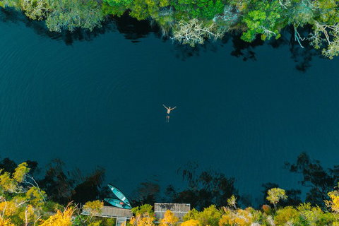 Cruise 'n' Canoe To Australia's Everglades - Accommodation Main Beach 2