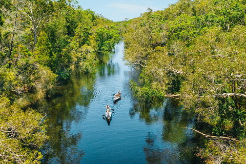 Cruise 'n' Canoe To Australia's Everglades - Accommodation Main Beach 3