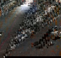 Wirra Wirra Vineyard McLaren Vale Winery Tour and Shiraz Masterclass - Accommodation Main Beach