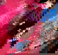 Alice Springs Desert Park General Entry Ticket - Accommodation Main Beach