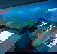 Great Barrier Reef Day Cruise to Reefworld - Accommodation Main Beach