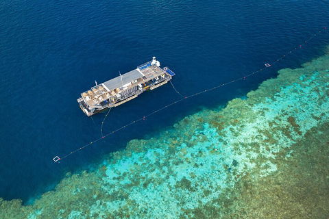 Great Barrier Reef Day Cruise To Reefworld - Accommodation Main Beach 2