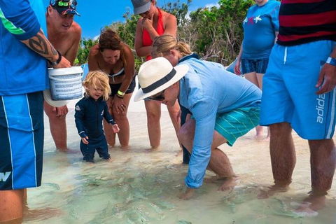 Whitehaven Beach And Hamilton Island Cruise - Accommodation Main Beach 1