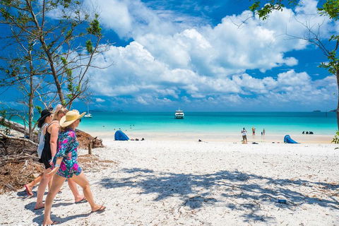 Whitehaven Beach Half-Day Cruises - Accommodation Main Beach 1