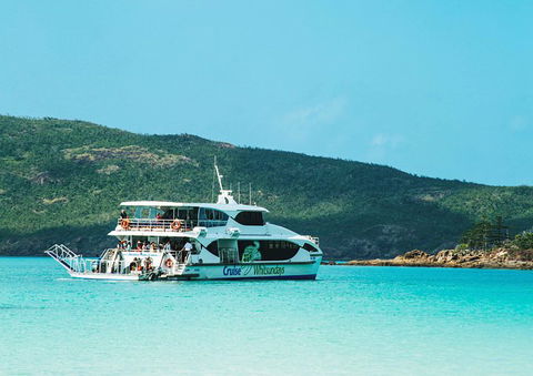 Whitehaven Beach Half-Day Cruises - Accommodation Main Beach 5