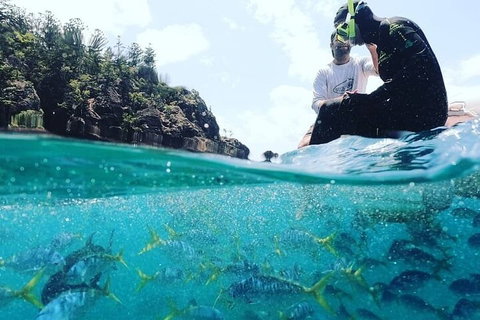 2 Night Small Group Whitsundays Sailing Adventure Aboard Mandrake - Accommodation Main Beach 5