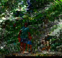 Full Day Daintree Rainforest and Mossman Gorge Tour - Accommodation Main Beach
