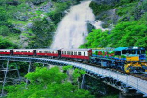 Cairns ATV Adventure Tour And Morning Train - Accommodation Main Beach 4