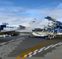 Full Day Tour by Seaplane to Rottnest Island Small Group Trip - Accommodation Main Beach