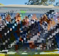 Full Day Mount Tamborine Winery Tour from Gold Coast - Accommodation Main Beach