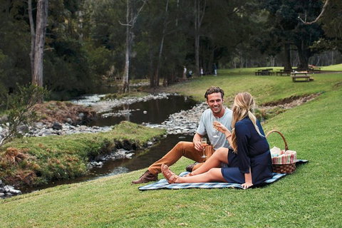 Mt Tamborine - Hinterland Wonders Self Guided - Accommodation Main Beach 0