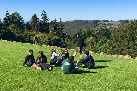 Mt Tamborine - Hinterland Wonders Self Guided - Accommodation Main Beach 1